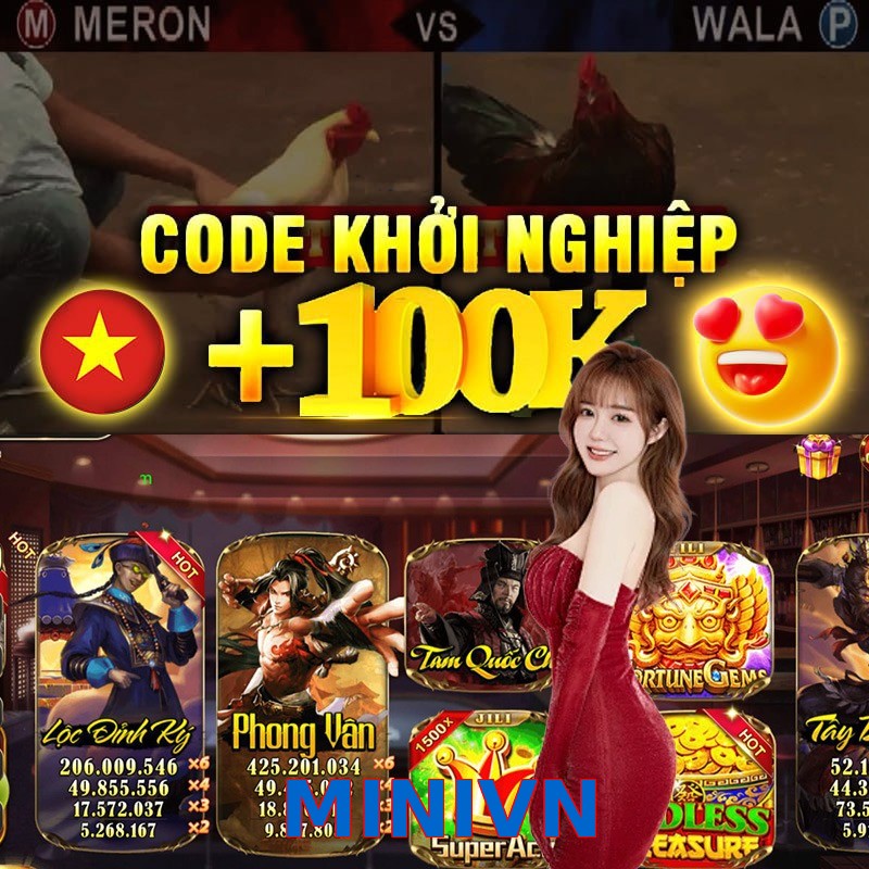 MINIVN